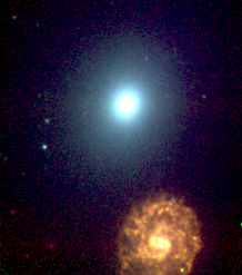 m60